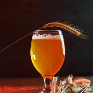 wheat beer