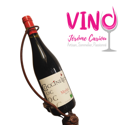 Merlot coccinelle