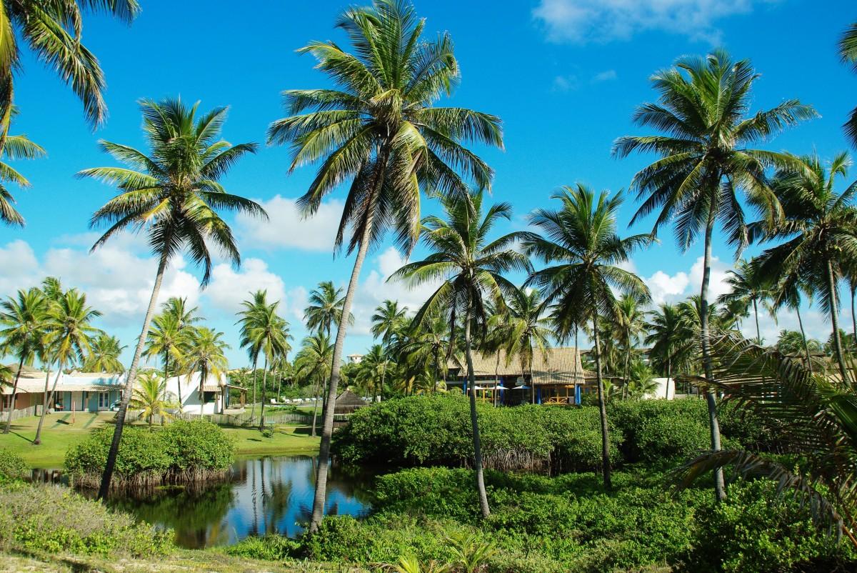 Caraibes