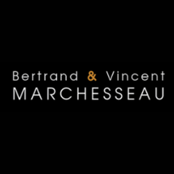 Bertrand et Vincent Marchesseau