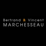 Bertrand et Vincent Marchesseau