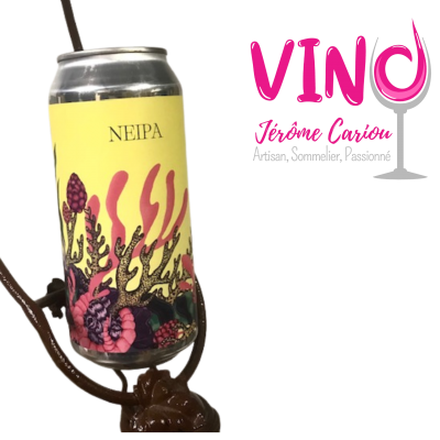 Neipa Kauri