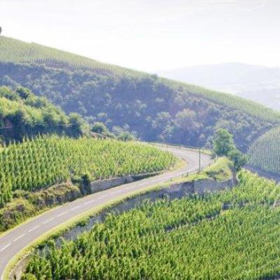 Rhone